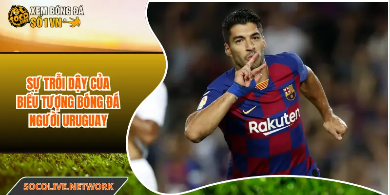 Sự trỗi dậy của biểu tượng bóng đá người Uruguay